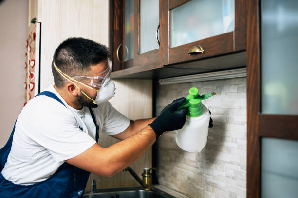 Trusted Whitesboro, TX Pest Control Experts