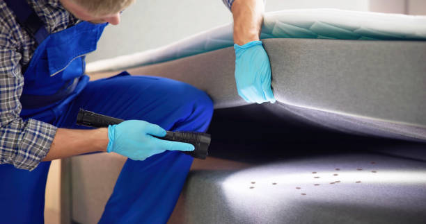 Best Commercial Pest Control Services  in Whitesboro, TX