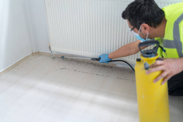 Best Emergency Pest Control  in Whitesboro, TX